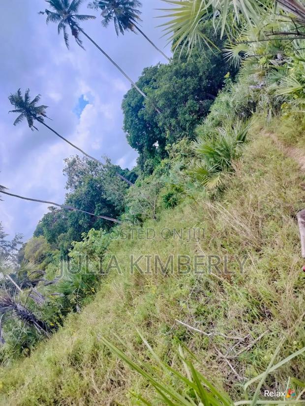 Half An Acre In Mbuguni, Dongo Kundu. - thumbnail 2