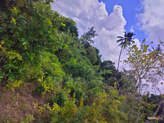 Half An Acre In Mbuguni, Dongo Kundu. - thumbnail 3