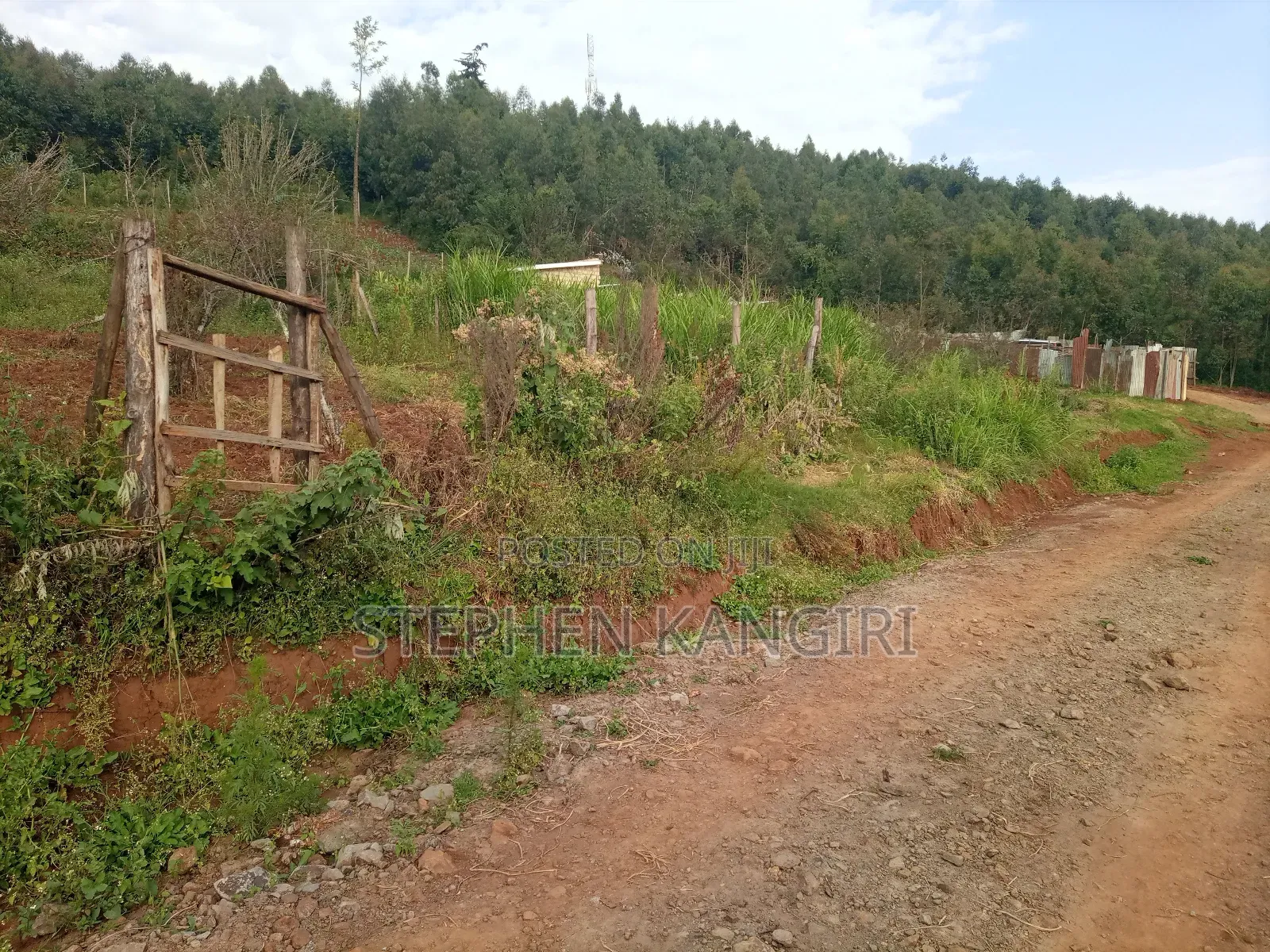 Plot in Limuru