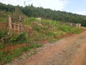 Plot in Limuru