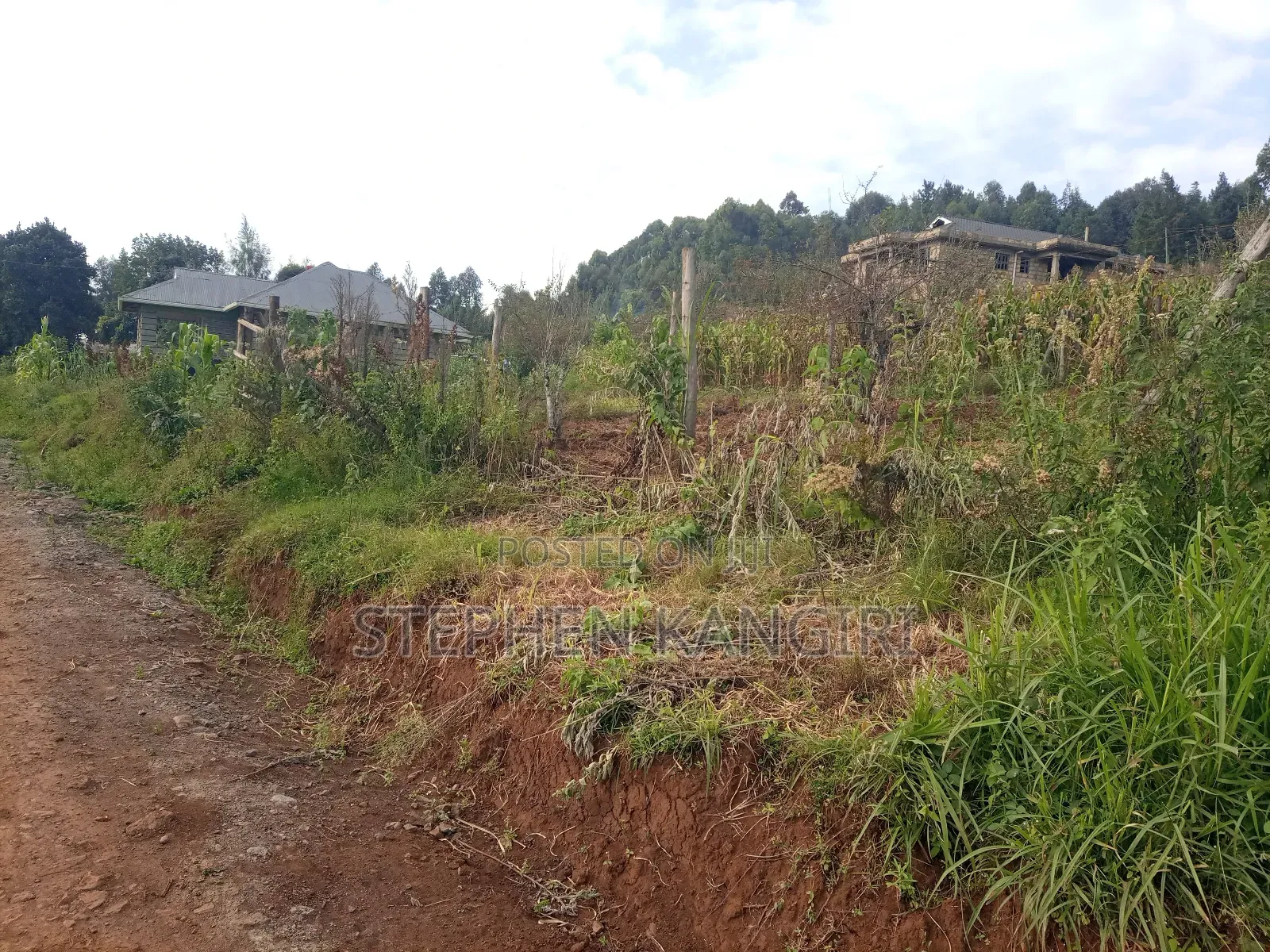 Plot in Limuru