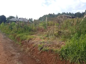 Plot in Limuru
