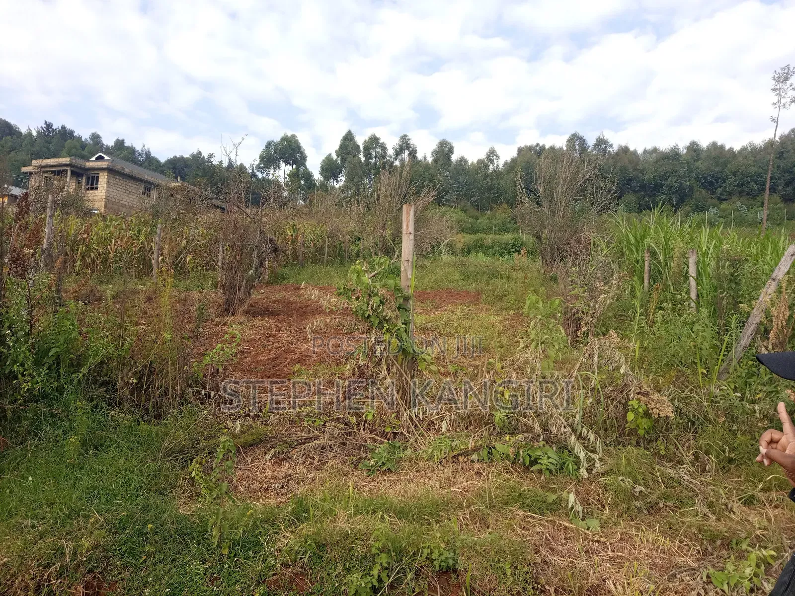 Plot in Limuru