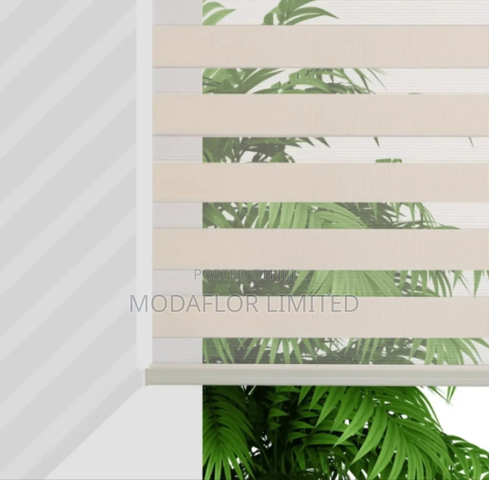 Stylish Zebra Roller Blinds for Living Room and Bedroom