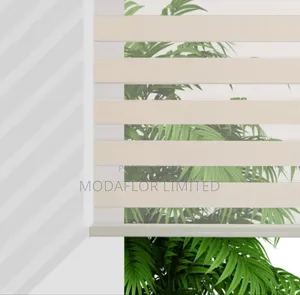 Stylish Zebra Roller Blinds for Living Room and Bedroom