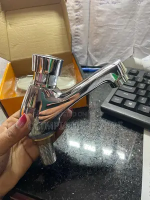 Lirlee Self-Closing Push Tap (Silver)