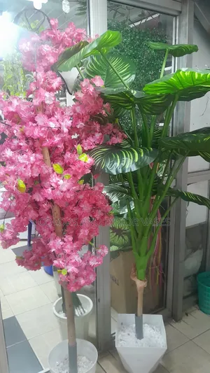 Big Decor Plants With Vases
