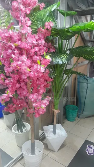 Big Decor Plants With Vases