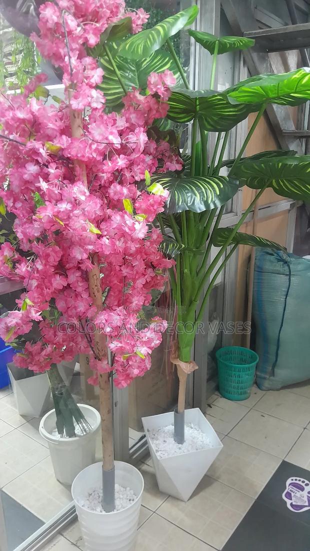 Big Decor Plants With Vases - thumbnail 2