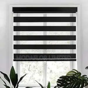 Stylish Zebra Roller Blinds in Multiple Colors