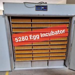Electric 5280egg Incubator/Ac/Dc New - thumbnail 2
