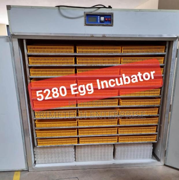 Electric 5280egg Incubator/Ac/Dc New - main view