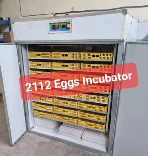 Electric 2112 Egg Incubator Ac/Dc New - thumbnail 2