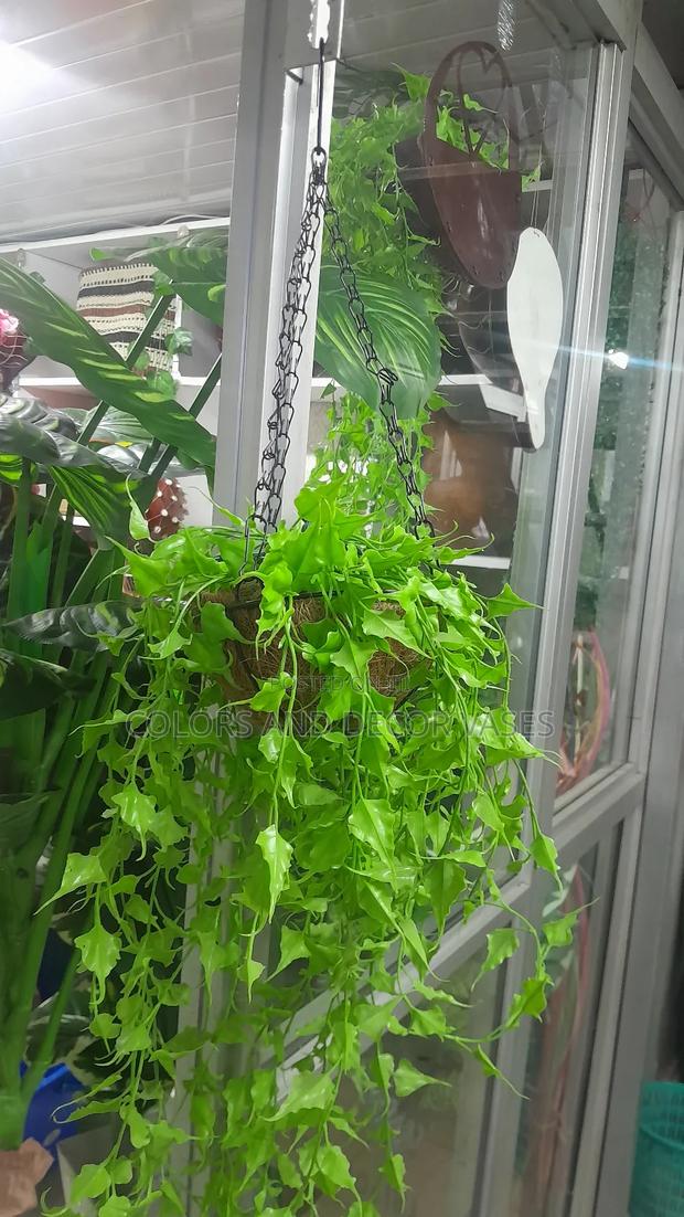 Hanging Elegant Flowers - main view