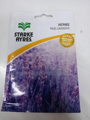 True Lavender Herb - thumbnail 2