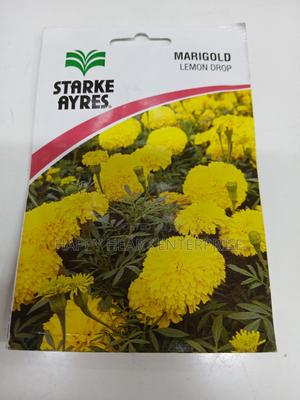 Marigold Lemon Drop Flower Seeds 1g - thumbnail 2