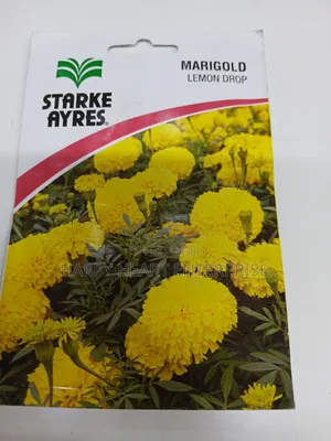 Marigold Lemon Drop Flower Seeds 1g