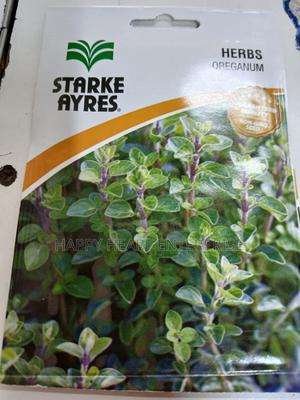 Oreganum Herbs Seed 1g(Oregano) - main view