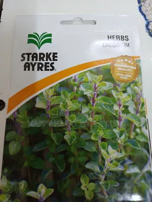 Oreganum Herbs Seed 1g(Oregano)