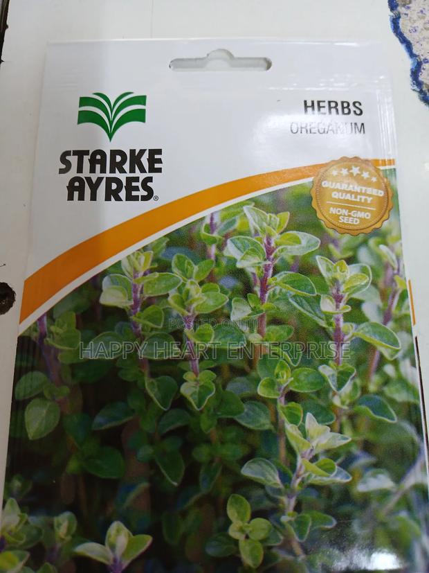 Oreganum Herbs Seed 1g(Oregano) - thumbnail 3