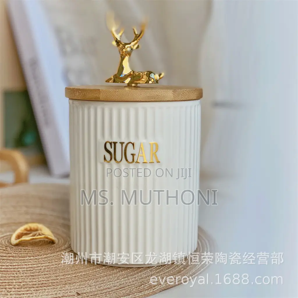 3pcs Ribbed Porcelain Ceramic Tea,Coffee Sugar Canister