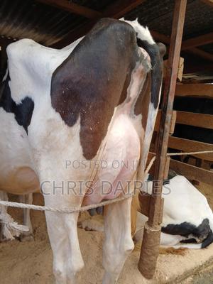 Freshian Lactating - thumbnail 2