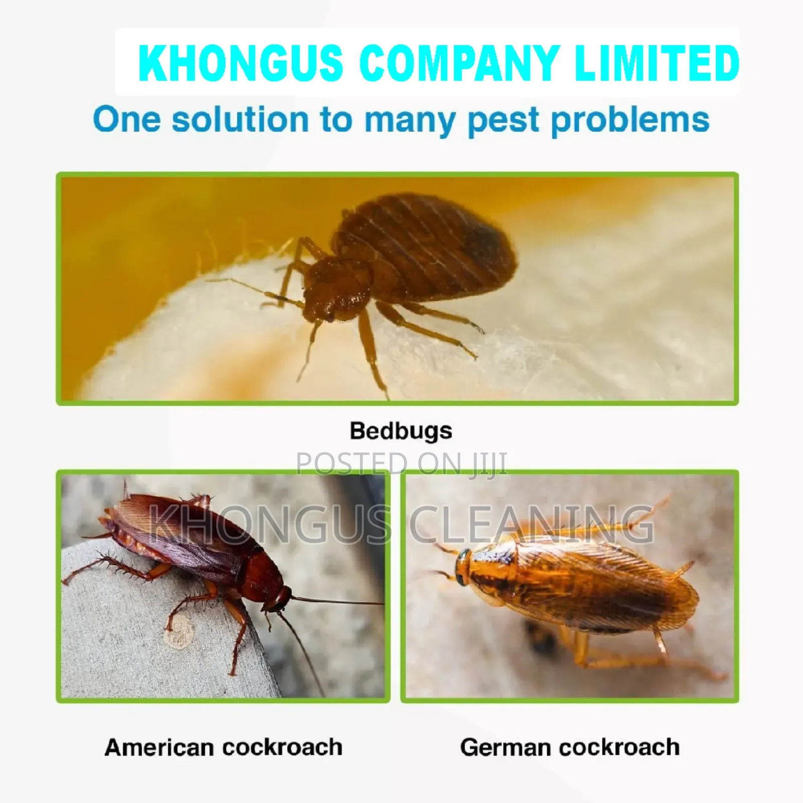Fumigation and Pest Control Services Nakuru