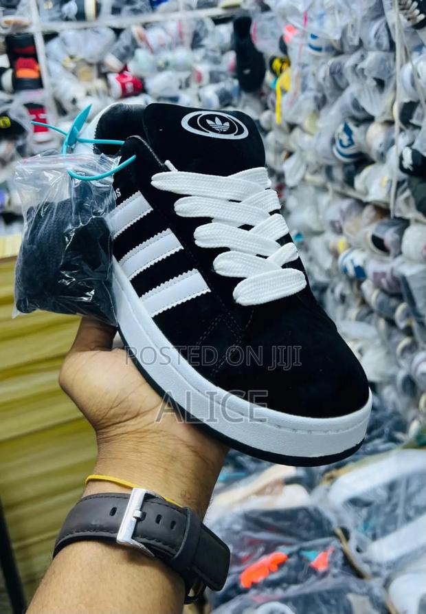 Adidas Campus Sneakers( Original)