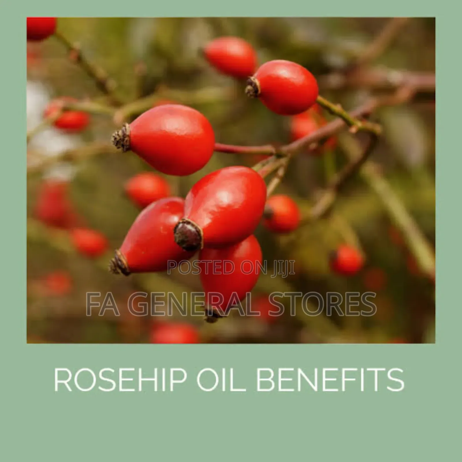 Rosehip Oil