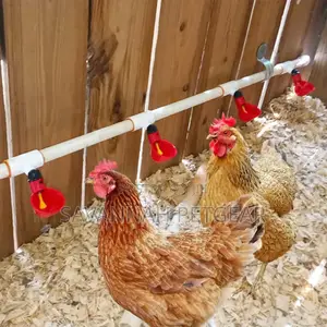 Automatic Chicks Poultry Drinking Cups (Waterer) + PVC Tee Fittings