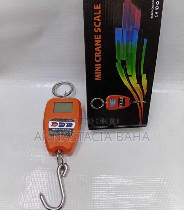 Quality Mini Crane Scale 200kg - main view