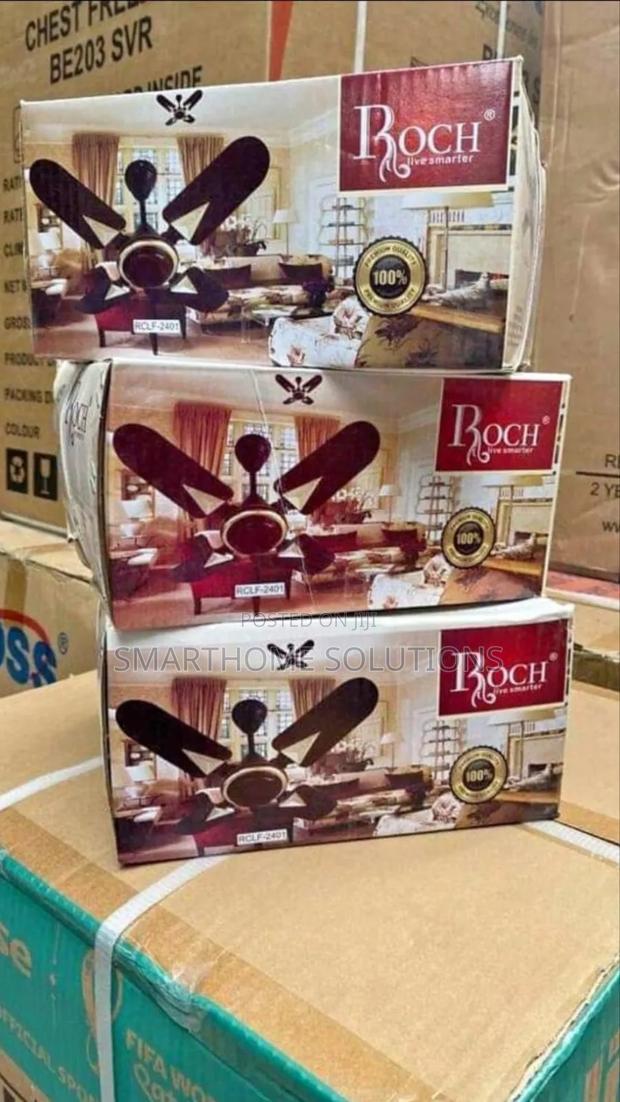 Roch 24inches Ceiling Fan - main view