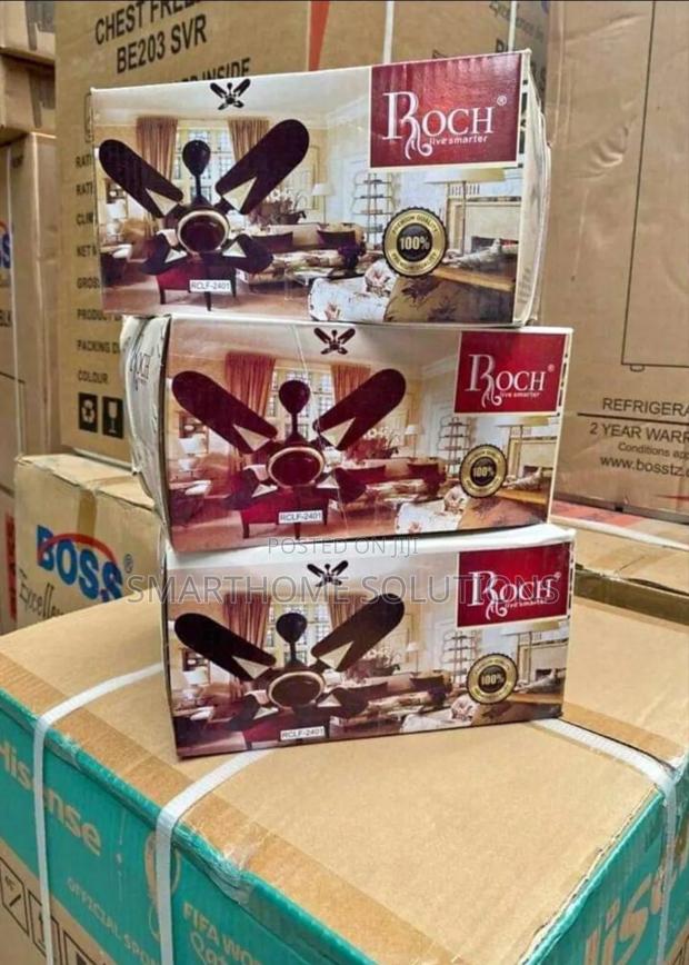 Ceiling Fan 24 Inches (Roch) - main view