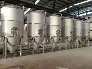 Stainless Steel Fermenters Processing Vessels – Multi-Industry Use