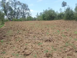 0.2ha for Sale in Kisumu Ojola Area