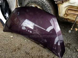 Ractis New Model Bonnet