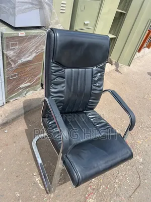 Ergonomic Executive Office Chair With Armrests
