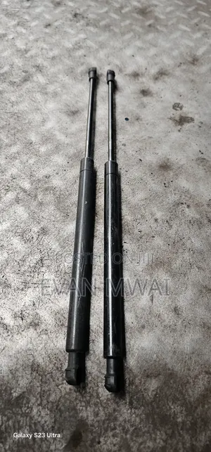 Tail Gate Probox Old and New Model