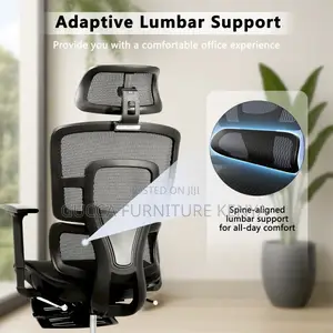 High Back Full Mesh Orthopedic Executive Office Chair