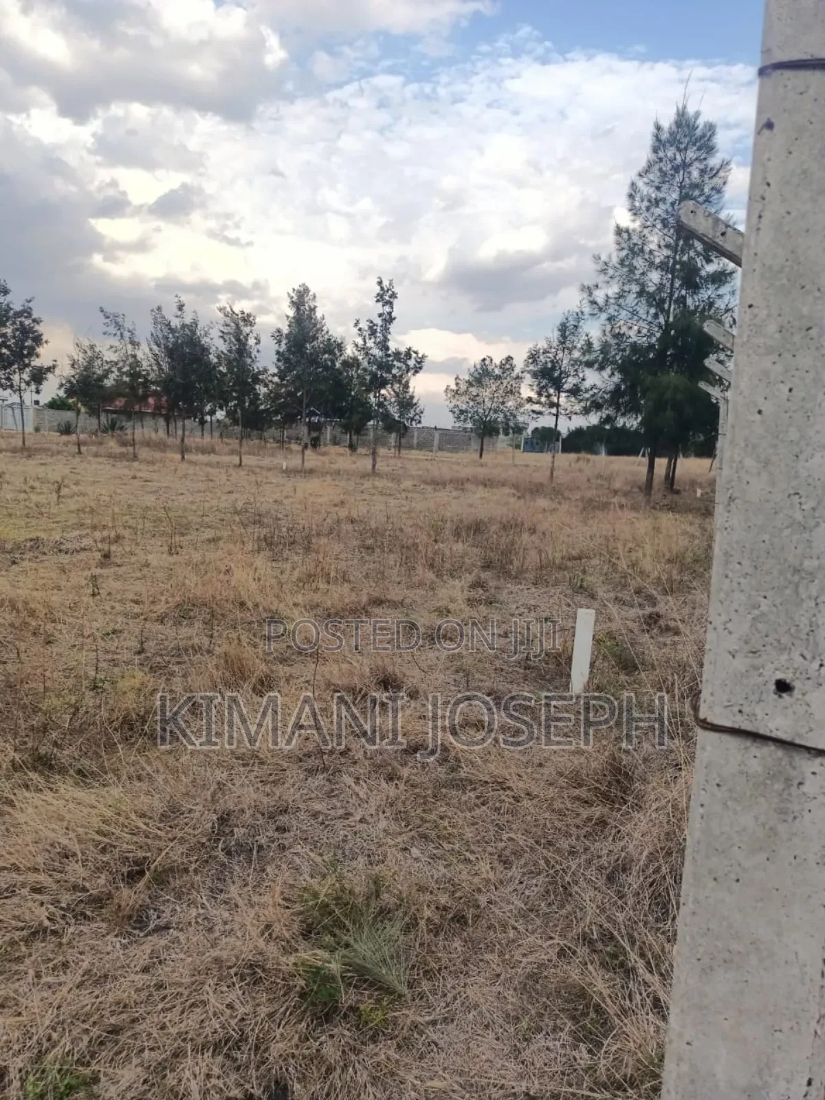 Property for Sale