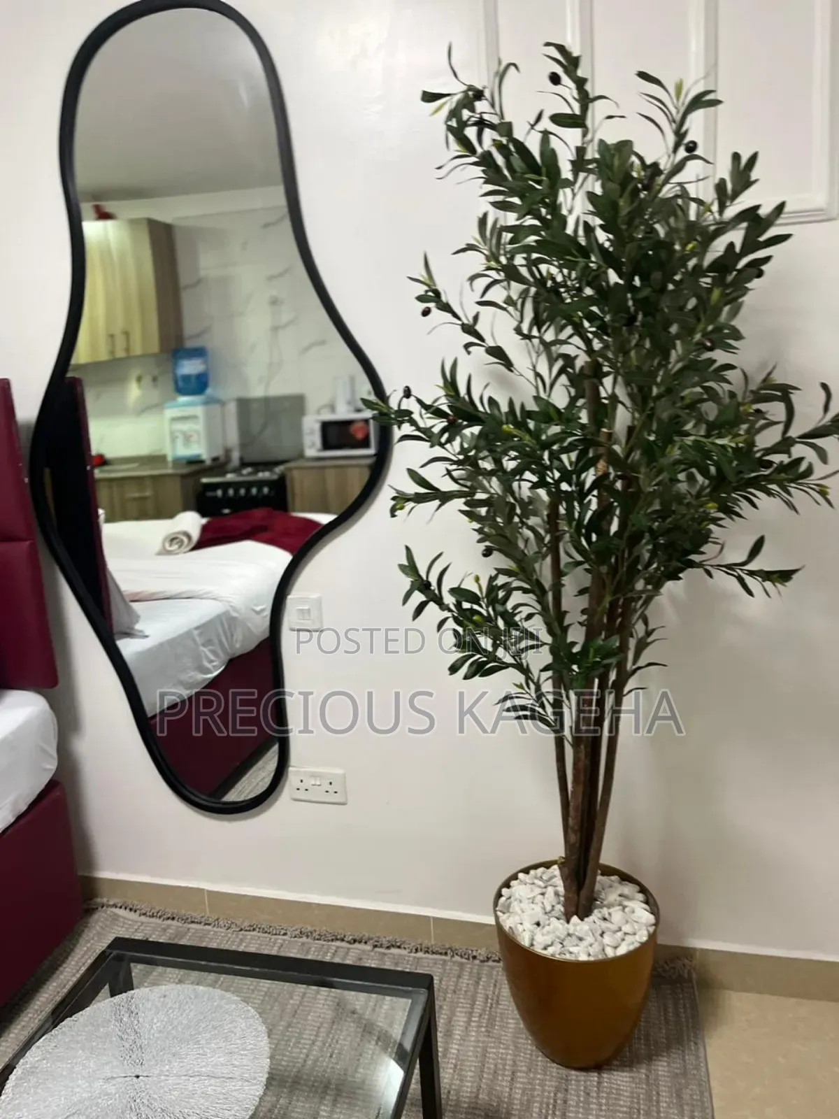 Studio Apartment