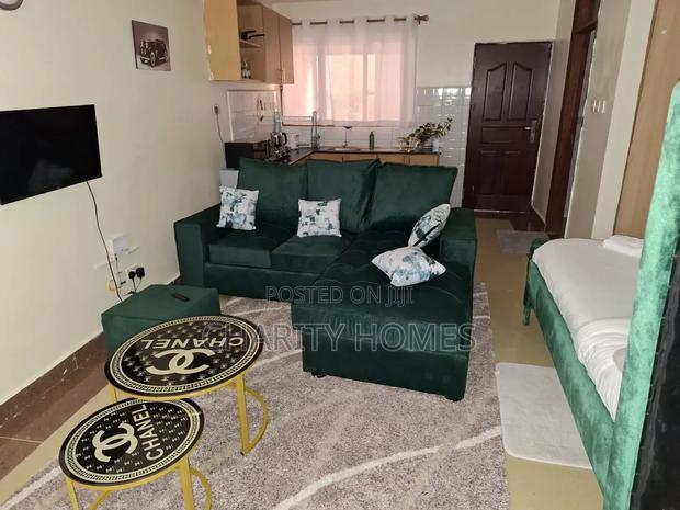 Furnished 1bdrm Bedsitter in Sanasana Area, South B for rent - main view