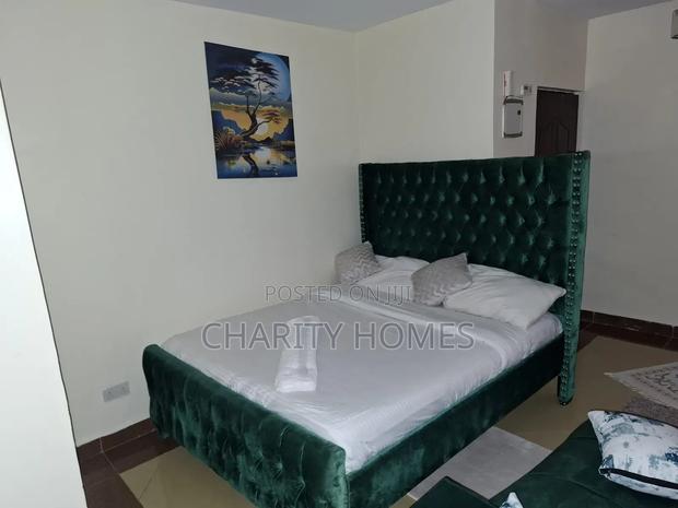 Furnished 1bdrm Bedsitter in Sanasana Area, South B for rent - thumbnail 3