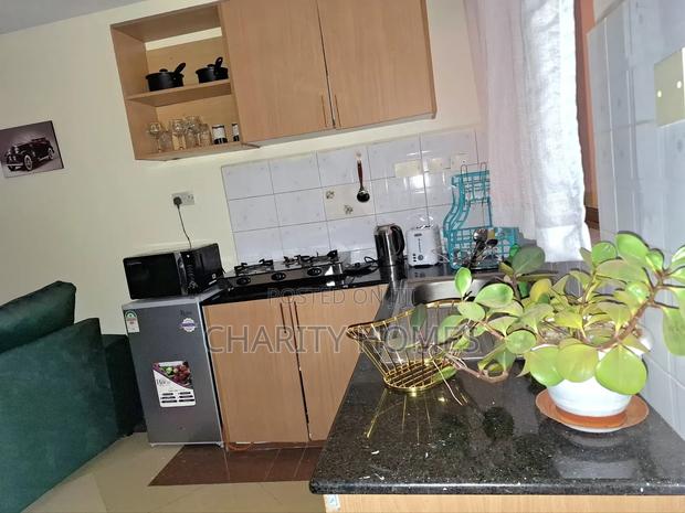 Furnished 1bdrm Bedsitter in Sanasana Area, South B for rent - thumbnail 4
