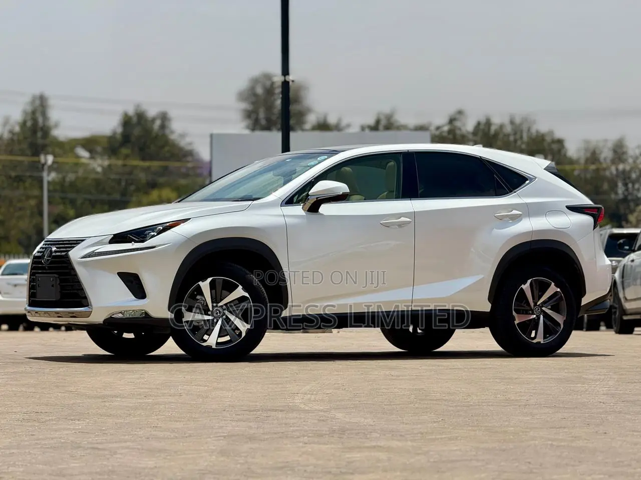 Lexus NX 2018 White