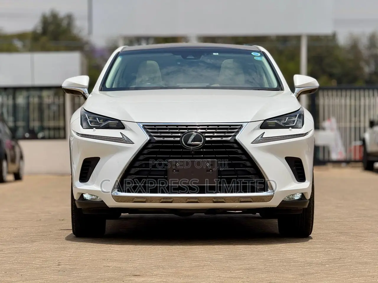 Lexus NX 2018 White
