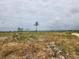 Prime 1⁄8th Acre 3rd Row Beach Plots in Watamu