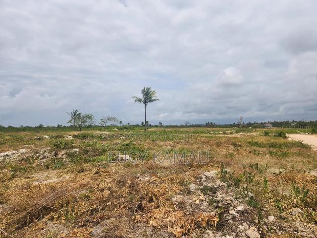 Prime 1⁄8th Acre 3rd Row Beach Plots in Watamu - thumbnail 5