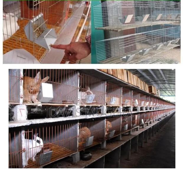 Rabbit Farm Metallic and Automatic Feeder - thumbnail 2