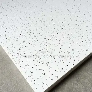 Daspros Acoustic Ceiling Square Edge
